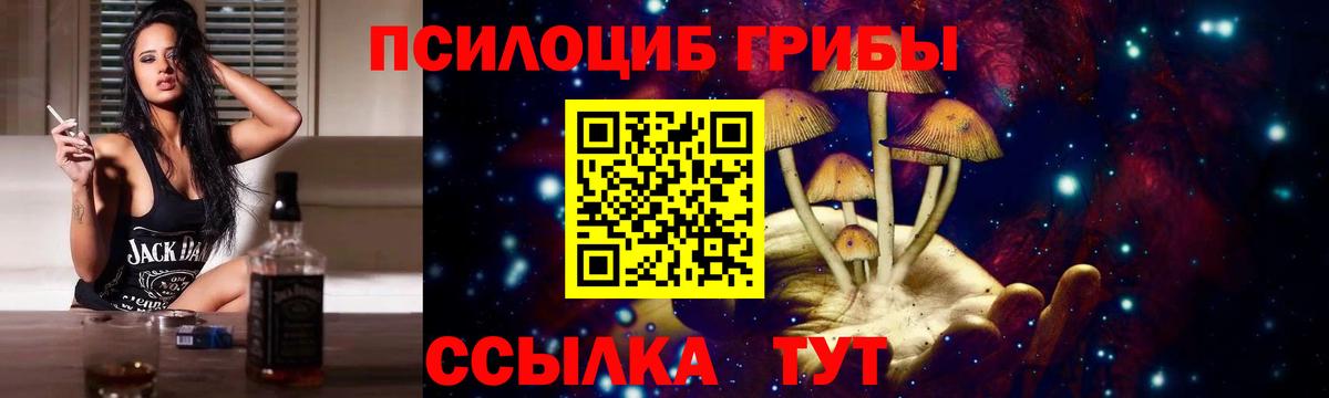 Псилоцибиновые грибы прущие грибы Хасавюрт